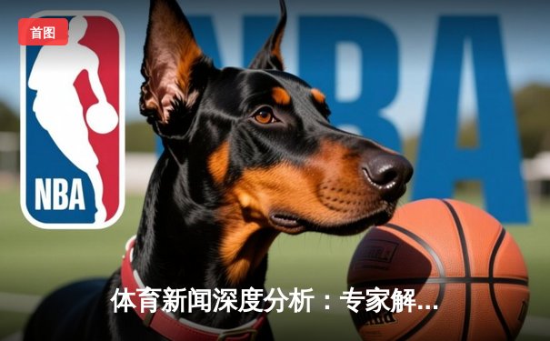 体育新闻深度分析：专家解读